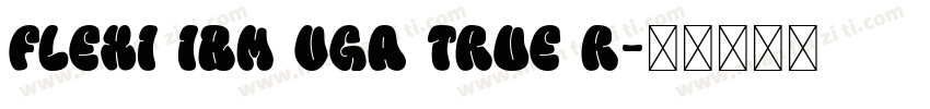 Flexi IBM VGA True R字体转换